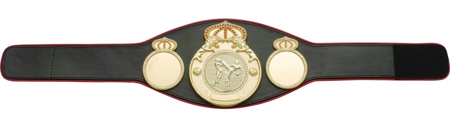 KICKBOXING CHAMPIONSHIP BELT PROLION/G/KBOG - AVAILABLE IN 6+ COLOURS KICKBOXING CHAMPIONSHIP BELT PROLION/G/KBOG - AVAILABLE IN 6+ COLOURS
